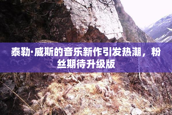 泰勒·威斯的音乐新作引发热潮，粉丝期待升级版