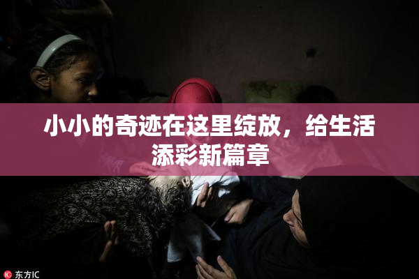 小小的奇迹在这里绽放，给生活添彩新篇章
