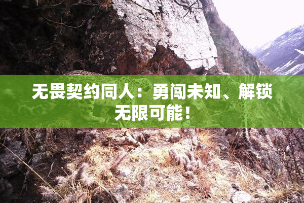 无畏契约同人：勇闯未知、解锁无限可能！