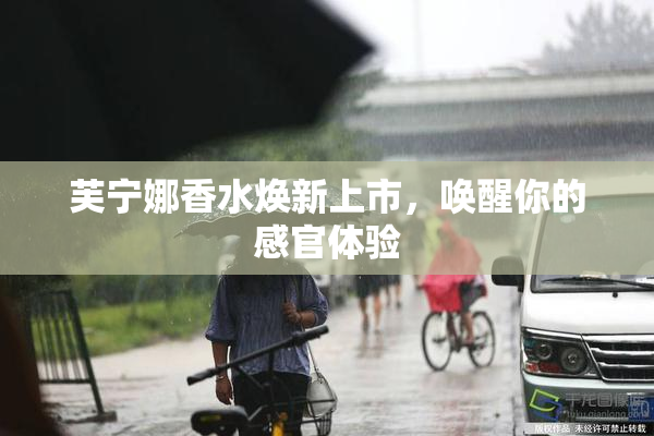 芙宁娜香水焕新上市，唤醒你的感官体验