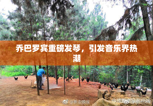 乔巴罗宾重磅发琴，引发音乐界热潮