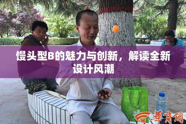馒头型B的魅力与创新，解读全新设计风潮