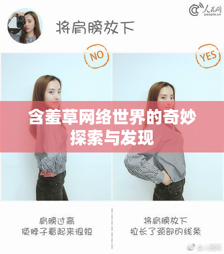 含羞草网络世界的奇妙探索与发现