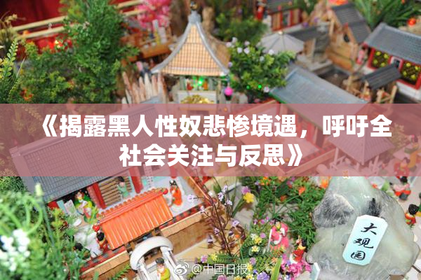 《揭露黑人性奴悲惨境遇，呼吁全社会关注与反思》
