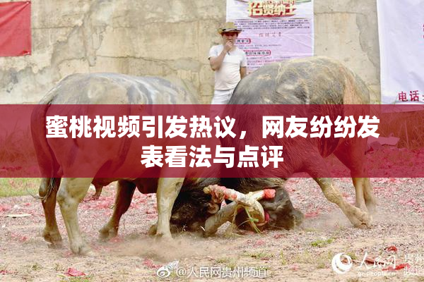蜜桃视频引发热议，网友纷纷发表看法与点评