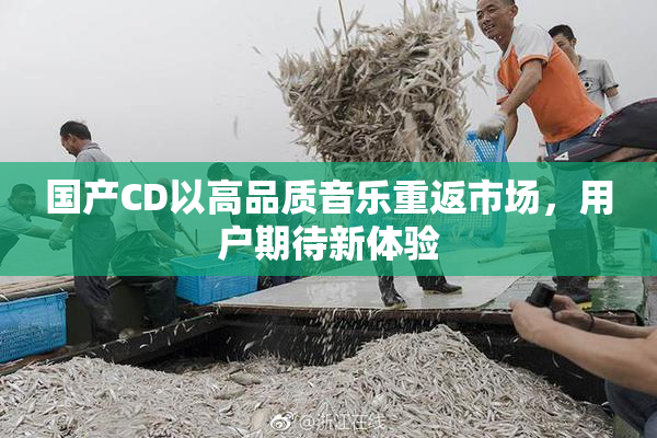 国产CD以高品质音乐重返市场，用户期待新体验