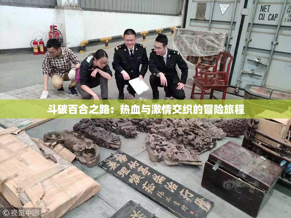 斗破百合之路：热血与激情交织的冒险旅程