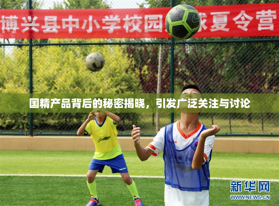 国精产品背后的秘密揭晓，引发广泛关注与讨论