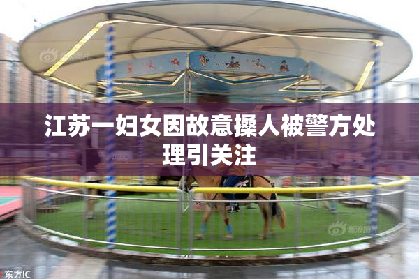 江苏一妇女因故意搡人被警方处理引关注