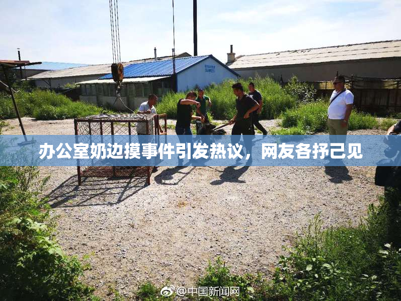 办公室奶边摸事件引发热议，网友各抒己见