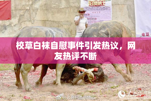 校草白袜自慰事件引发热议，网友热评不断