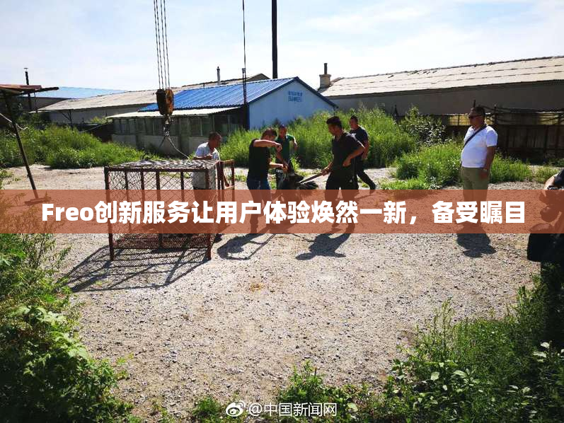 Freo创新服务让用户体验焕然一新，备受瞩目