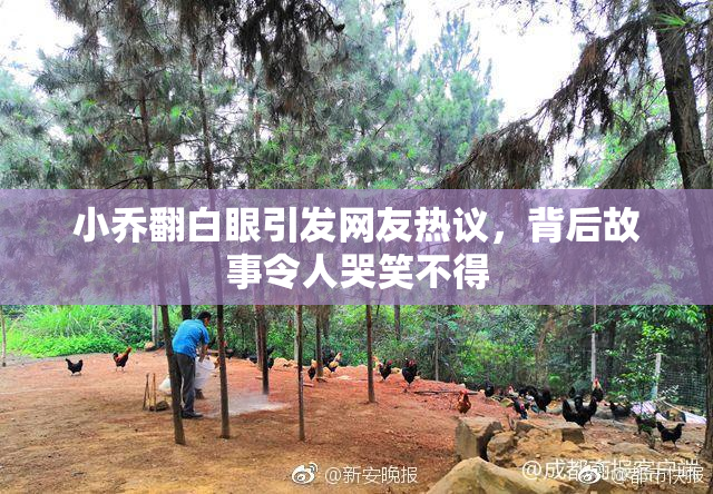 小乔翻白眼引发网友热议，背后故事令人哭笑不得