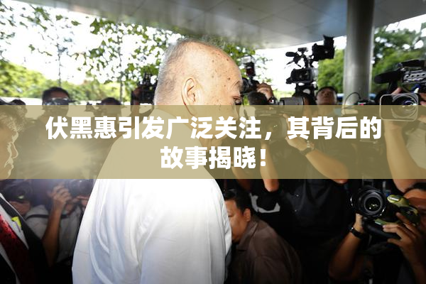 伏黑惠引发广泛关注，其背后的故事揭晓！