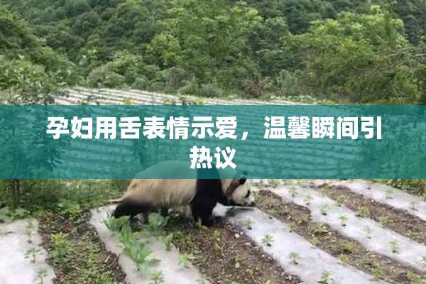 孕妇用舌表情示爱，温馨瞬间引热议