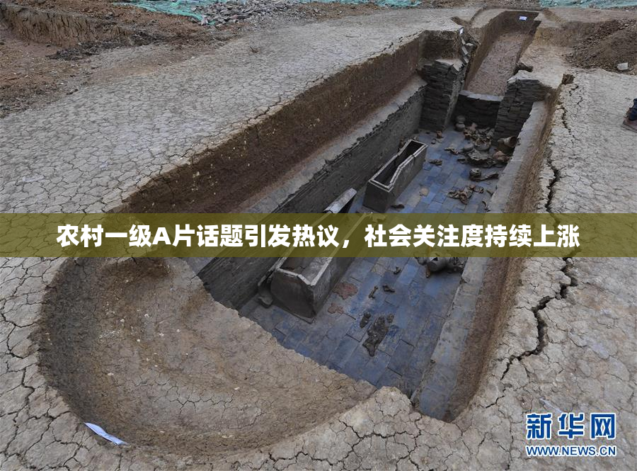 农村一级A片话题引发热议，社会关注度持续上涨