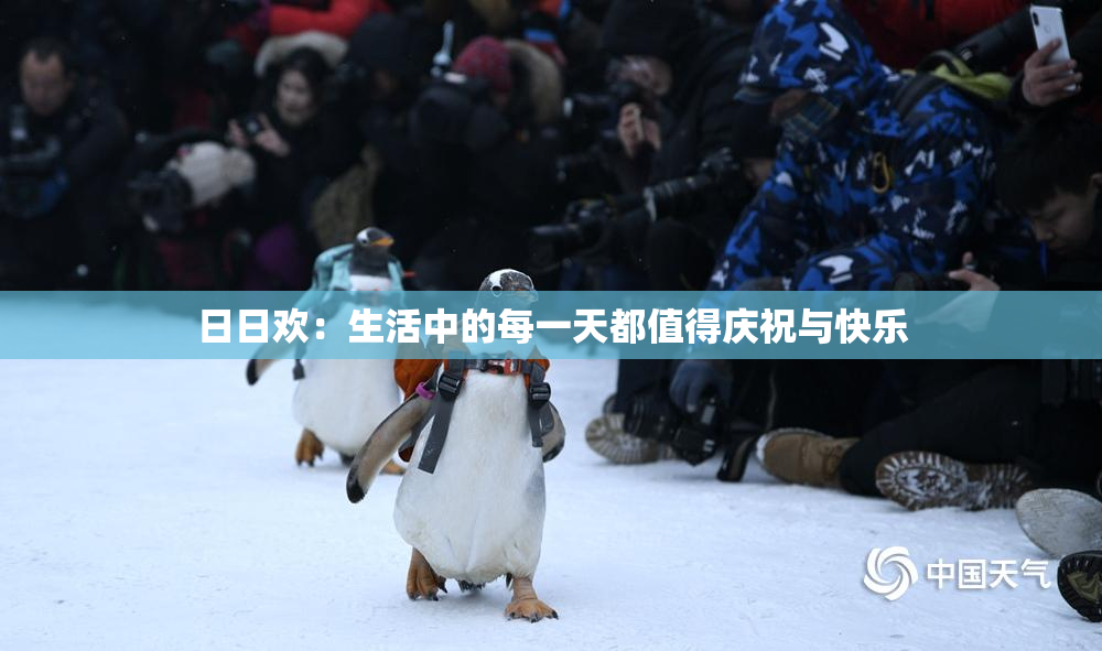 日日欢：生活中的每一天都值得庆祝与快乐