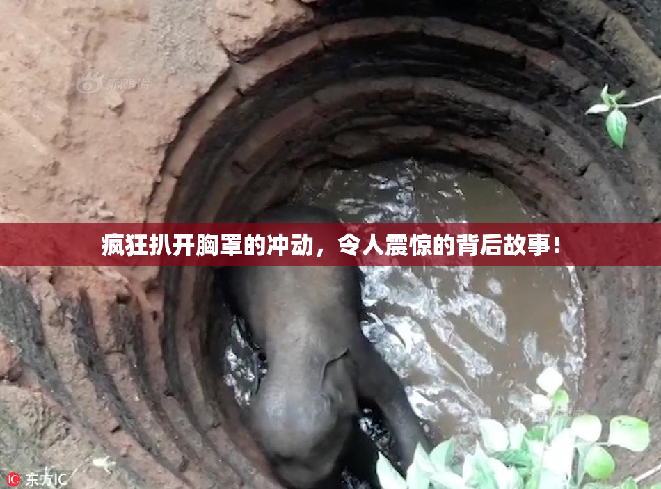 疯狂扒开胸罩的冲动，令人震惊的背后故事！