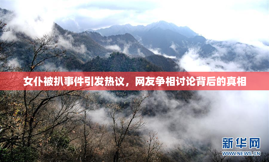 女仆被扒事件引发热议，网友争相讨论背后的真相