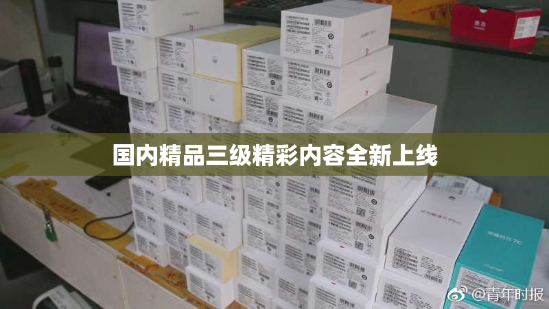 国内精品三级精彩内容全新上线