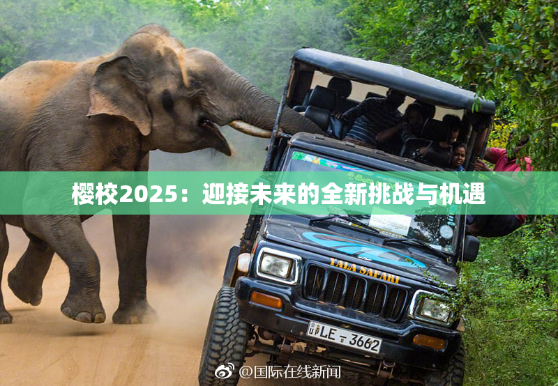 樱校2025：迎接未来的全新挑战与机遇