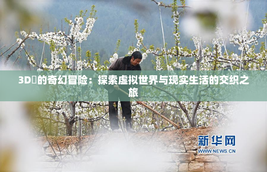3D姉的奇幻冒险：探索虚拟世界与现实生活的交织之旅