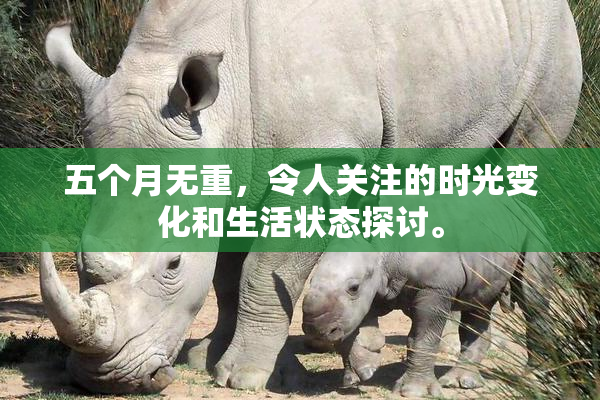 五个月无重，令人关注的时光变化和生活状态探讨。
