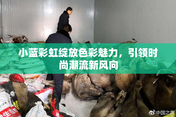 小蓝彩虹绽放色彩魅力，引领时尚潮流新风向