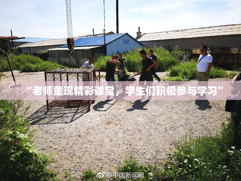 “老师重现精彩课堂，学生们积极参与学习”