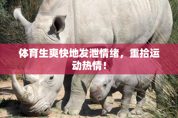 体育生爽快地发泄情绪，重拾运动热情！