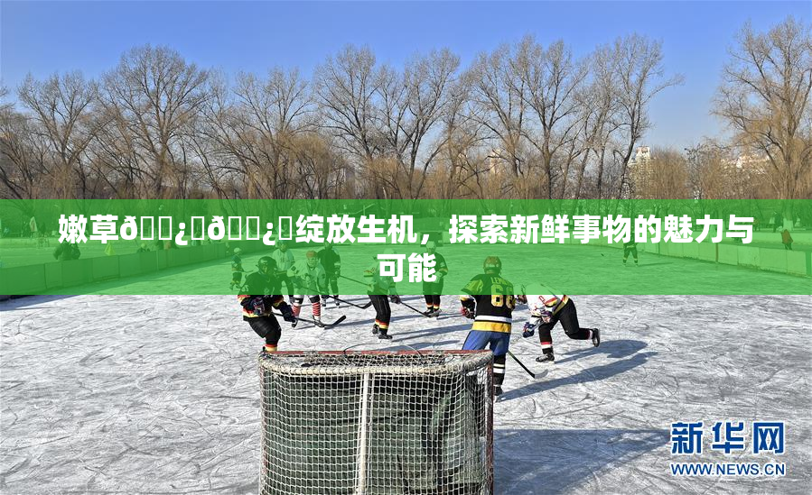嫩草🌿‌🌿‌绽放生机，探索新鲜事物的魅力与可能