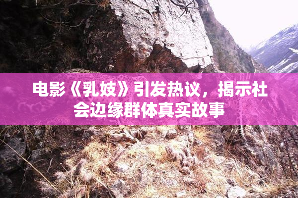 电影《乳妓》引发热议，揭示社会边缘群体真实故事
