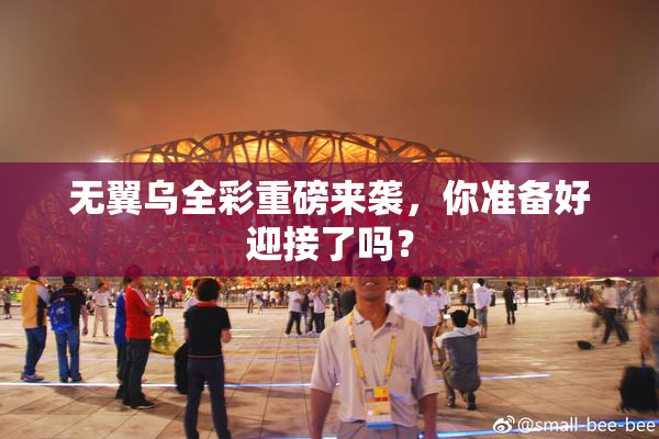 无翼乌全彩重磅来袭，你准备好迎接了吗？
