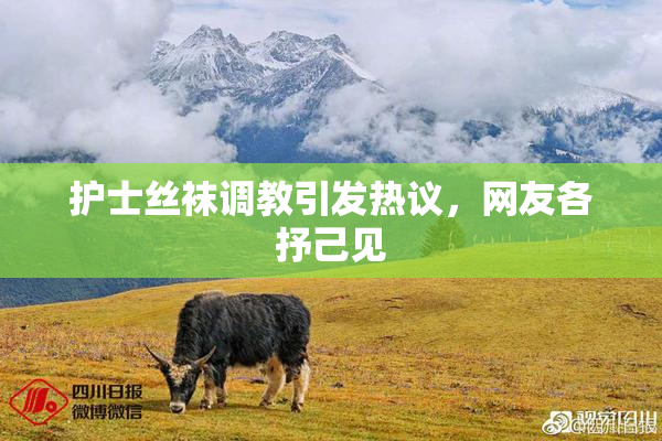 护士丝袜调教引发热议，网友各抒己见
