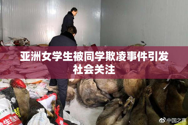 亚洲女学生被同学欺凌事件引发社会关注