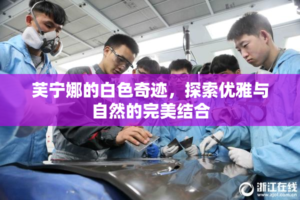芙宁娜的白色奇迹，探索优雅与自然的完美结合