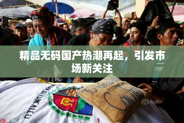精品无码国产热潮再起，引发市场新关注