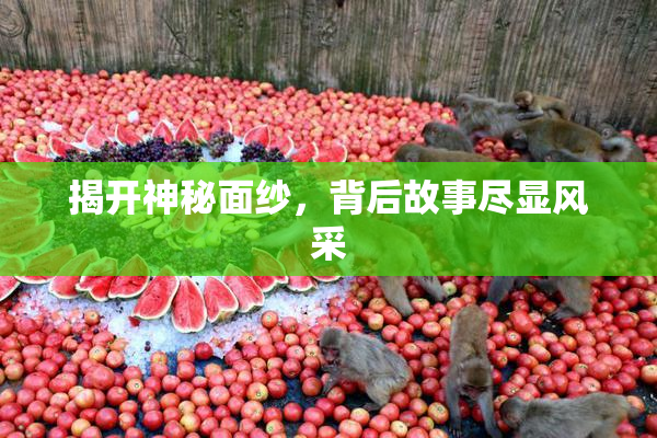 揭开神秘面纱，背后故事尽显风采