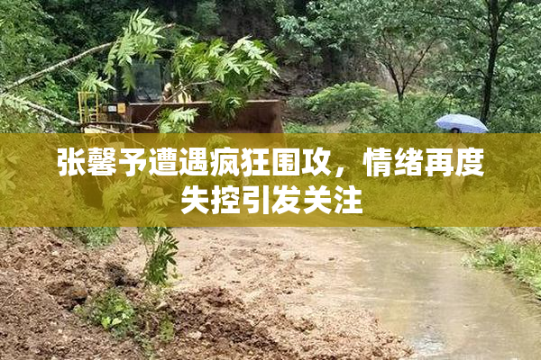 张馨予遭遇疯狂围攻，情绪再度失控引发关注
