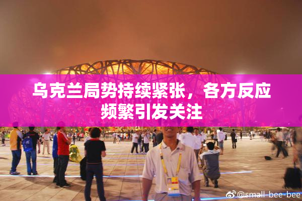 乌克兰局势持续紧张，各方反应频繁引发关注