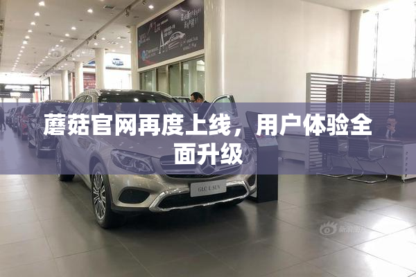 蘑菇官网再度上线，用户体验全面升级