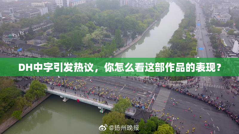 DH中字引发热议，你怎么看这部作品的表现？