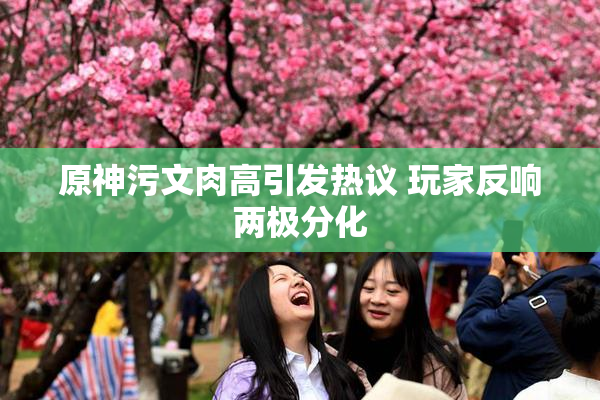 原神污文肉高引发热议 玩家反响两极分化