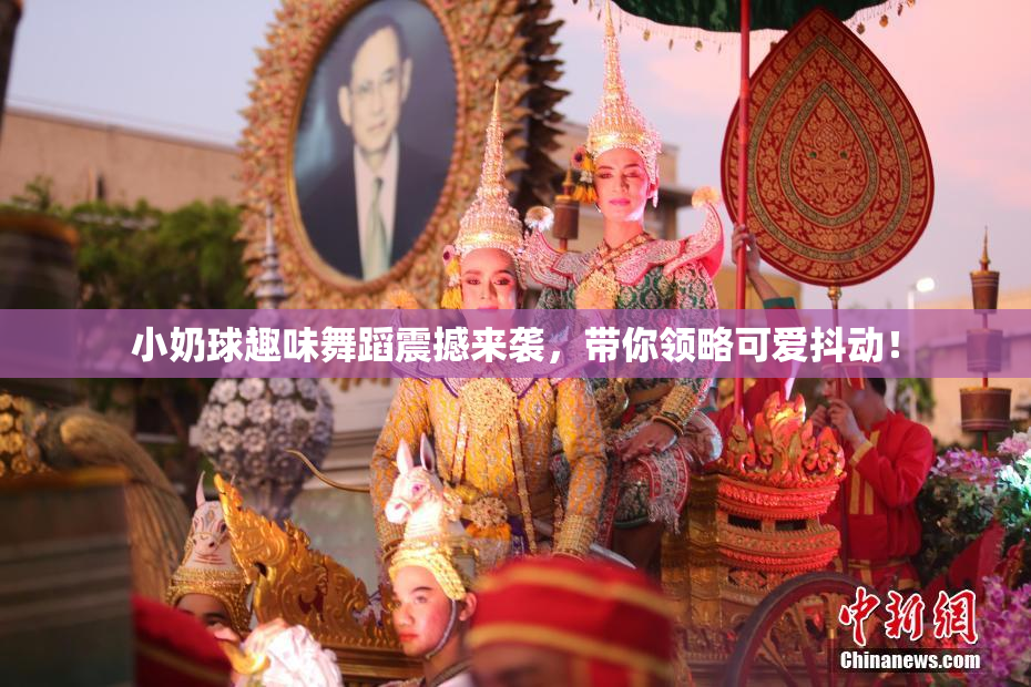 小奶球趣味舞蹈震撼来袭，带你领略可爱抖动！