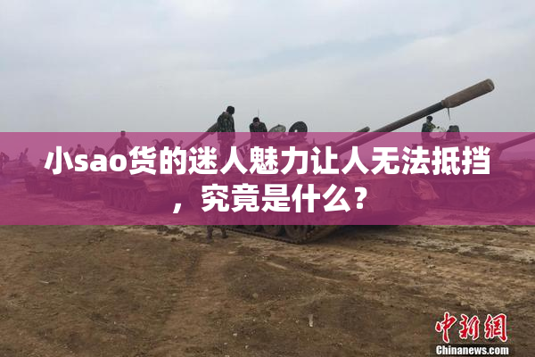 小sao货的迷人魅力让人无法抵挡，究竟是什么？