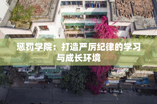 惩罚学院：打造严厉纪律的学习与成长环境