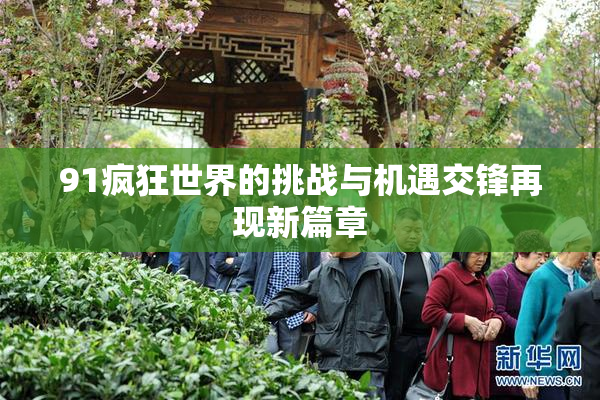91疯狂世界的挑战与机遇交锋再现新篇章