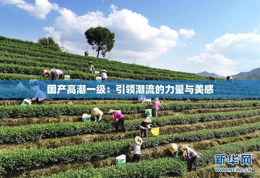 国产高潮一级：引领潮流的力量与美感