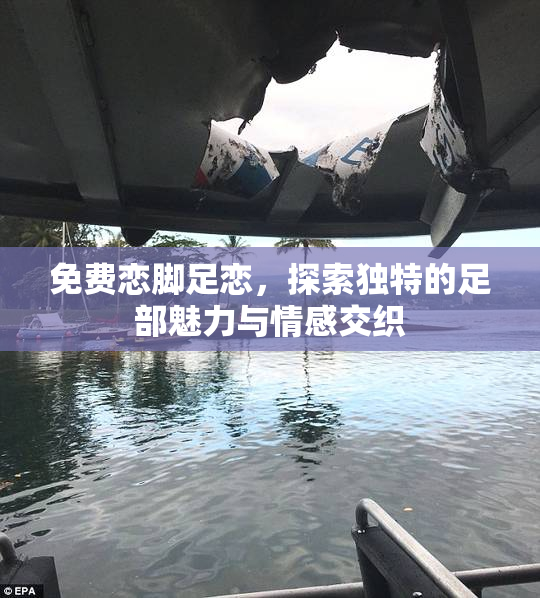 免费恋脚足恋，探索独特的足部魅力与情感交织