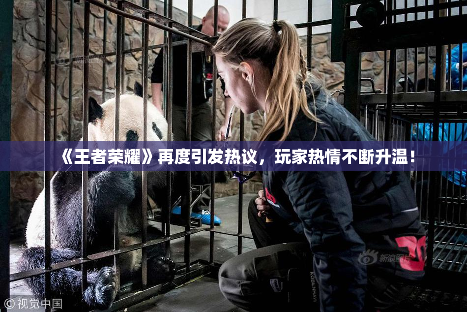 《王者荣耀》再度引发热议，玩家热情不断升温！